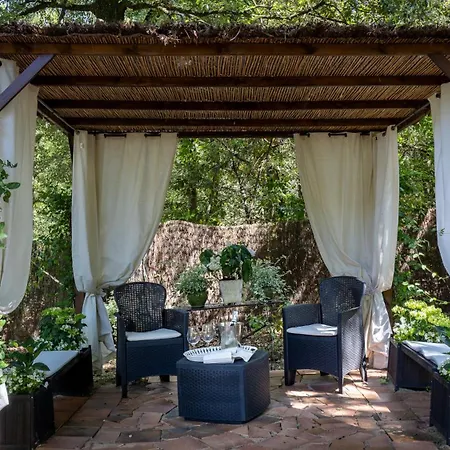 Rinaldi 6, Emma Valli