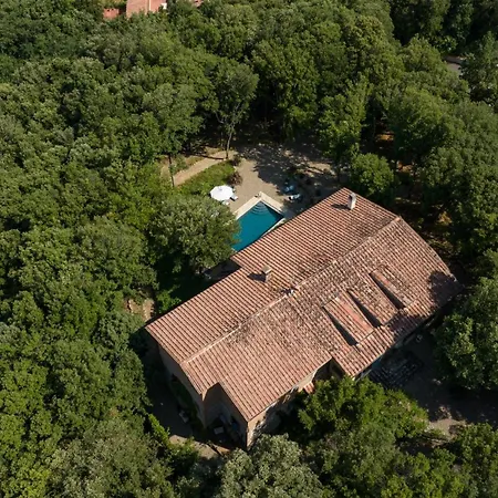 Rinaldi 6, Emma Valli